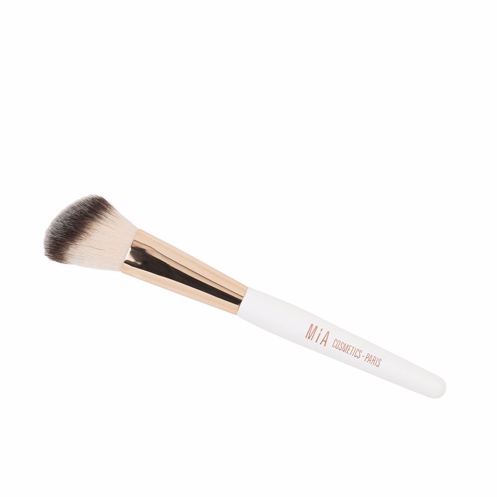 BLUSH brush
